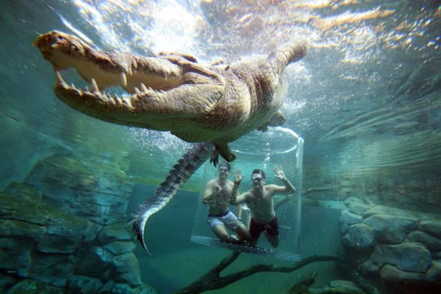 "Cage Of Death" Crocodile Swim and Entry to Crocosaurus Cove - The 30-minute safety briefing that sets the tone