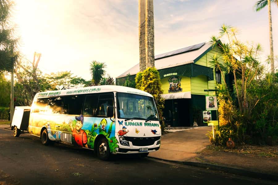 Cairns: 2-Day Atherton Tablelands & Cape Tribulation Tour - How this 2-day Cairns tour actually feels