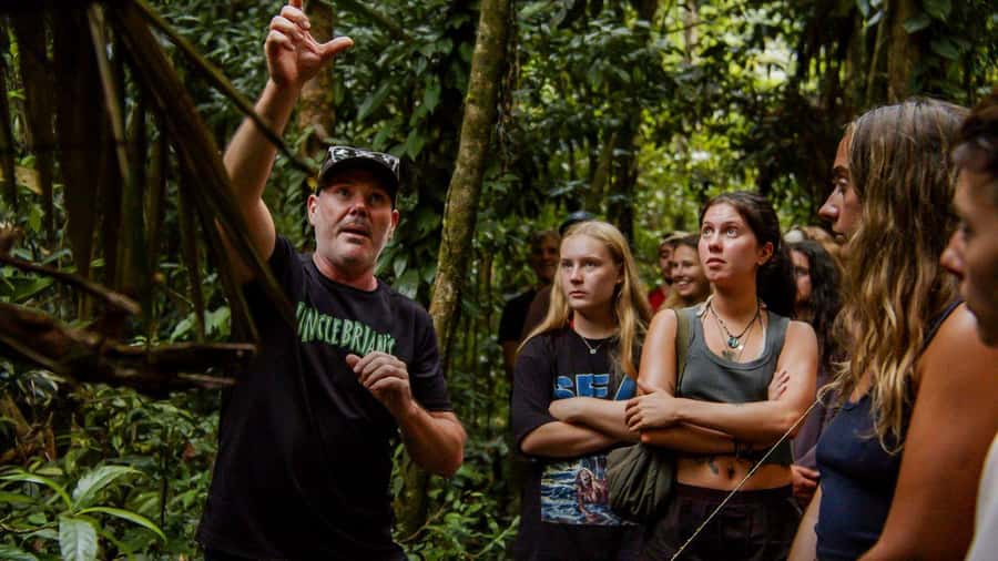 Cairns: 2-Day Atherton Tablelands & Cape Tribulation Tour - Agile Wallaby Project: feeding time with context