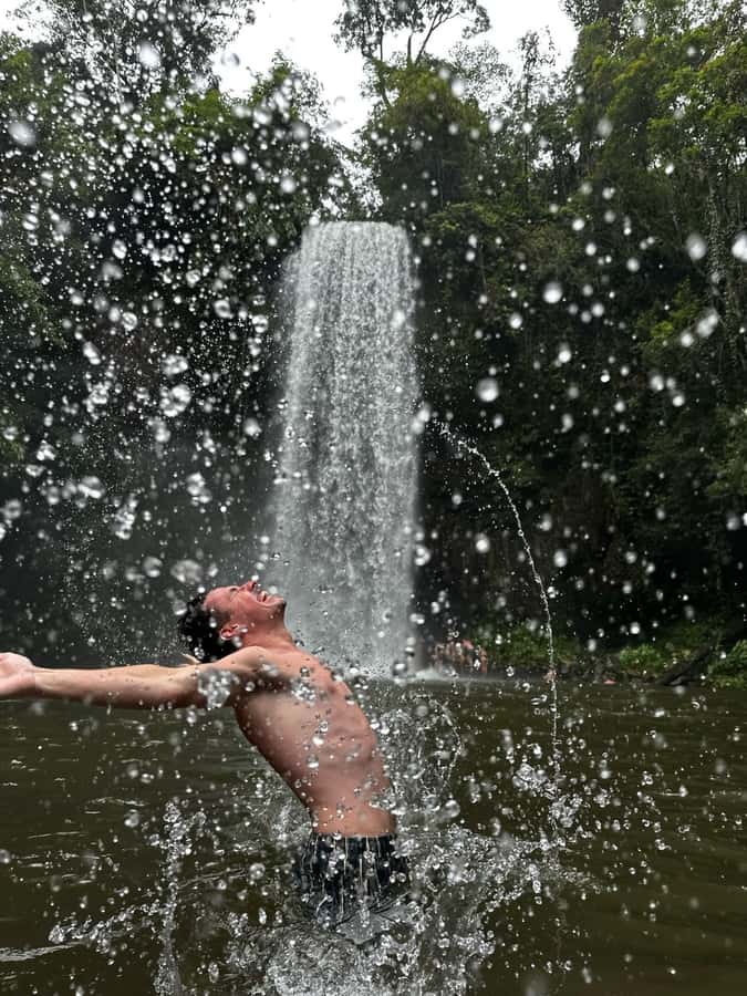 Cairns: 2-Day Atherton Tablelands & Cape Tribulation Tour - Price and value: is $303 per person worth it?