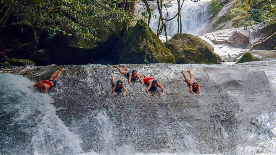 Cairns: 2-Day Atherton Tablelands & Cape Tribulation Tour - Timing, transport, and what to pack (so you don’t suffer)