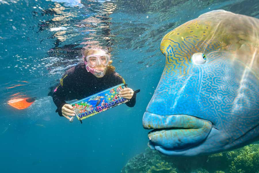 Cairns: 2-Day Barrier Reef Pontoon & Fitzroy Island Tour - Day 1 on the water: lagoon snorkeling, Marine Biologists, and optional activities
