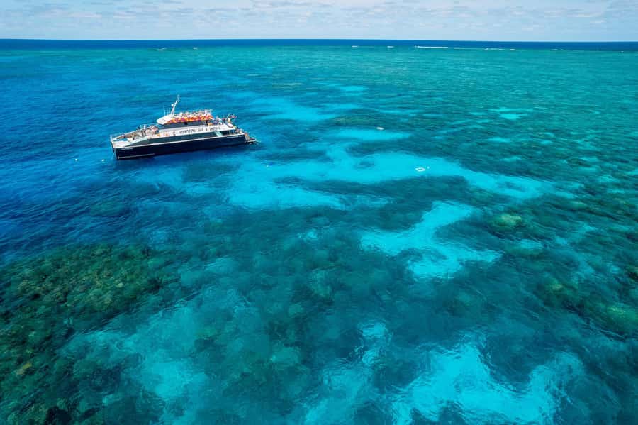Cairns: 2-Day Great Barrier Reef and Fitzroy Island Tour - The Outer Reef Part That Actually Fills Your Day