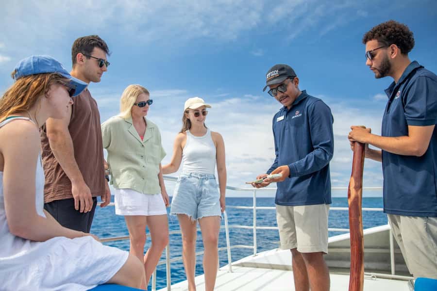 Cairns: 2-Day Great Barrier Reef and Fitzroy Island Tour - Lunch and On-Board Comfort (More Important Than You Think)