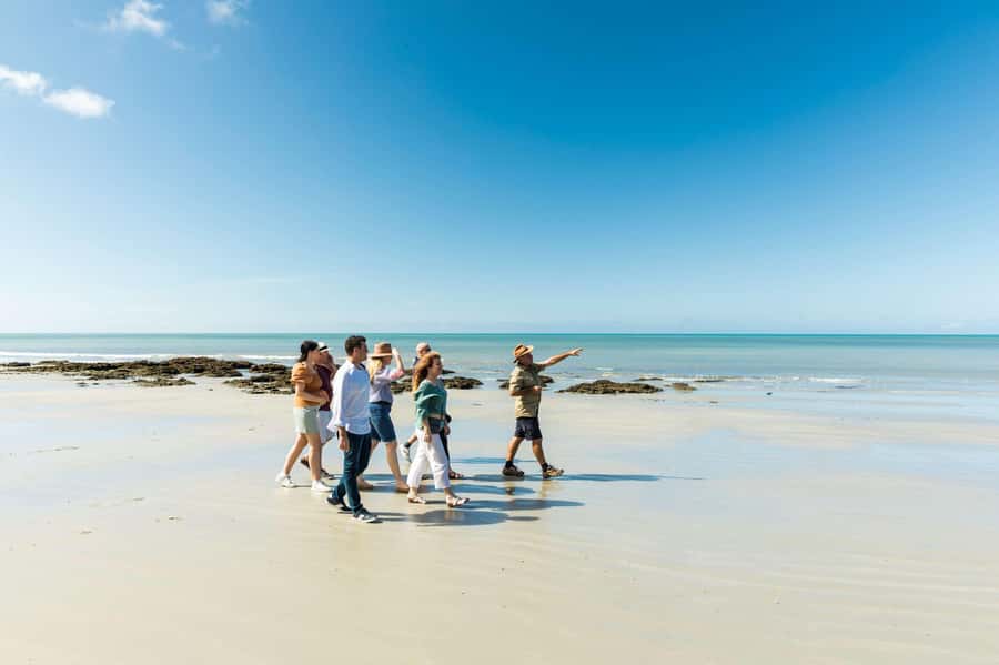 Cairns: 2-Day Great Barrier Reef & Daintree Rainforest Tour - Cape Tribulation and that cable ferry crossing