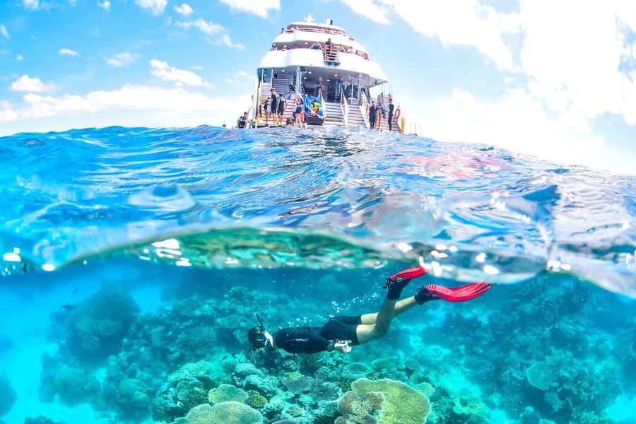 Cairns: 2-Day Great Barrier Reef & Daintree Rainforest Tour - Snorkelling at two outer reef locations: why the split matters