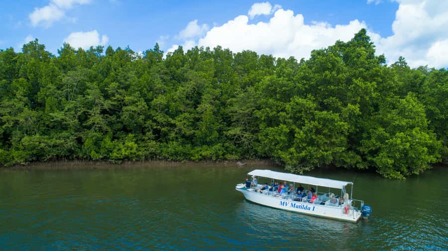 Cairns: 2-Day Great Barrier Reef & Daintree Rainforest Tour - Price and value: is $300 per person actually fair?