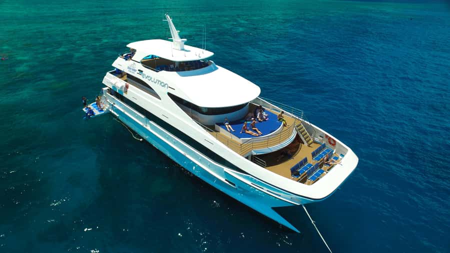 Cairns: 2-Day Great Barrier Reef & Daintree Rainforest Tour - Rainforest Day: Cairns pickup to crocodiles on the Daintree River