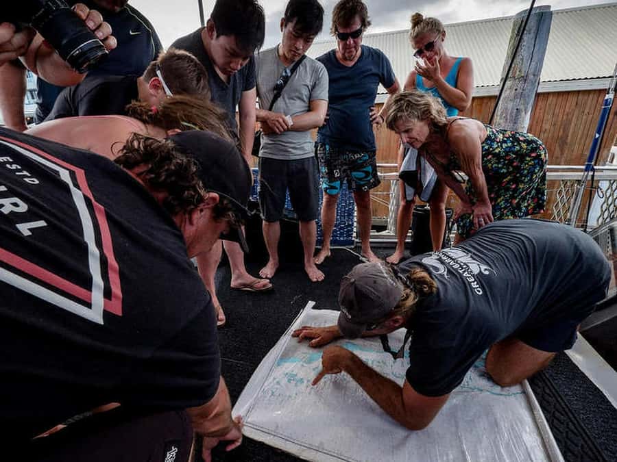 Cairns: 2-Day Great Barrier Reef Dive and Snorkel Boat Trip - Key things that make this trip worth your money