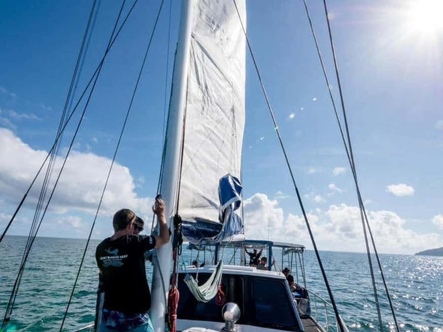 Cairns: 2-Day Great Barrier Reef Dive and Snorkel Boat Trip - Reef planning that avoids the one-spot trap