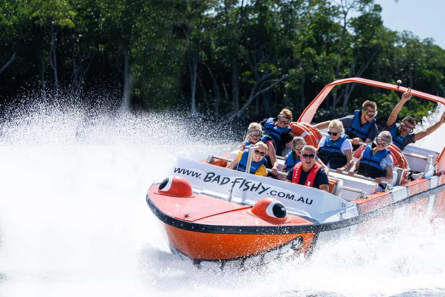 Cairns: 35-Minute Jet Boating Ride - The Music, the Cameras, and How to Plan Your Day Around a Wet Adventure