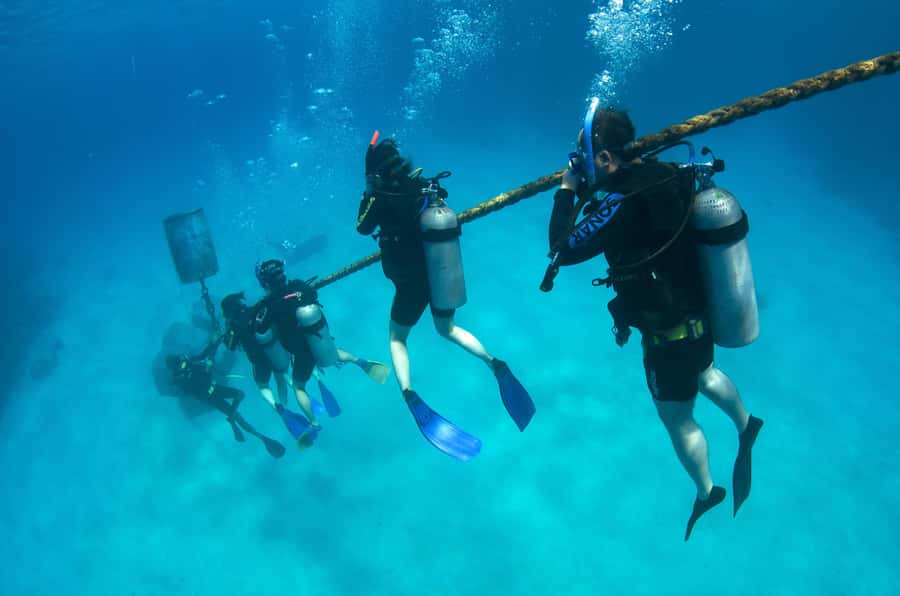 Cairns: 4-Day PADI Open Water Course - Medical questionnaire and swim tests: the real gate to getting on the water
