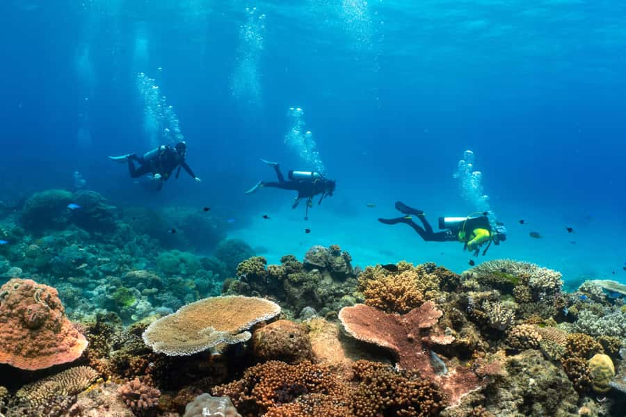 Cairns: 4-Day PADI Open Water Course - Day 2 pool skills and the multiple-choice exam