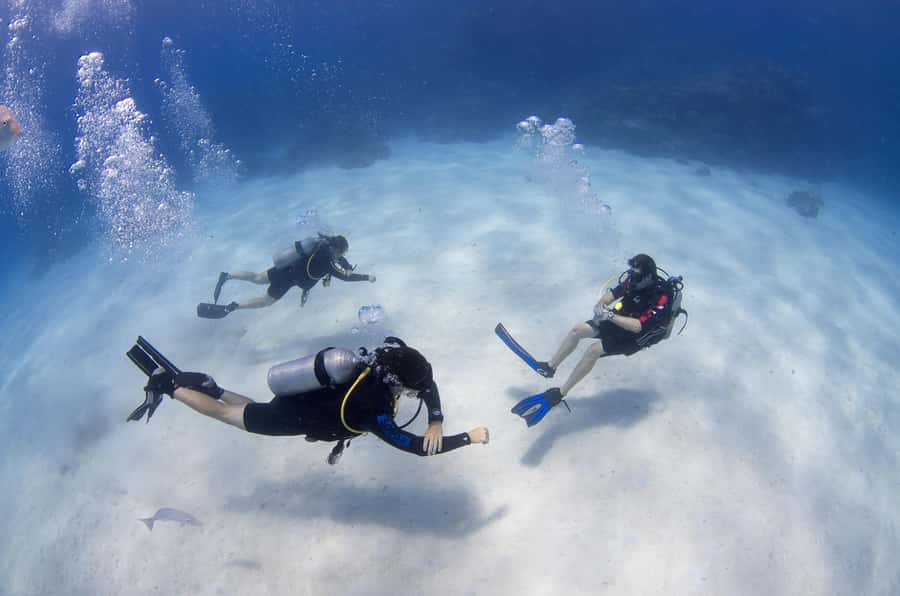 Cairns: 4-Day PADI Open Water Course - The coral-and-sea-life payoff (and how to enjoy it correctly)