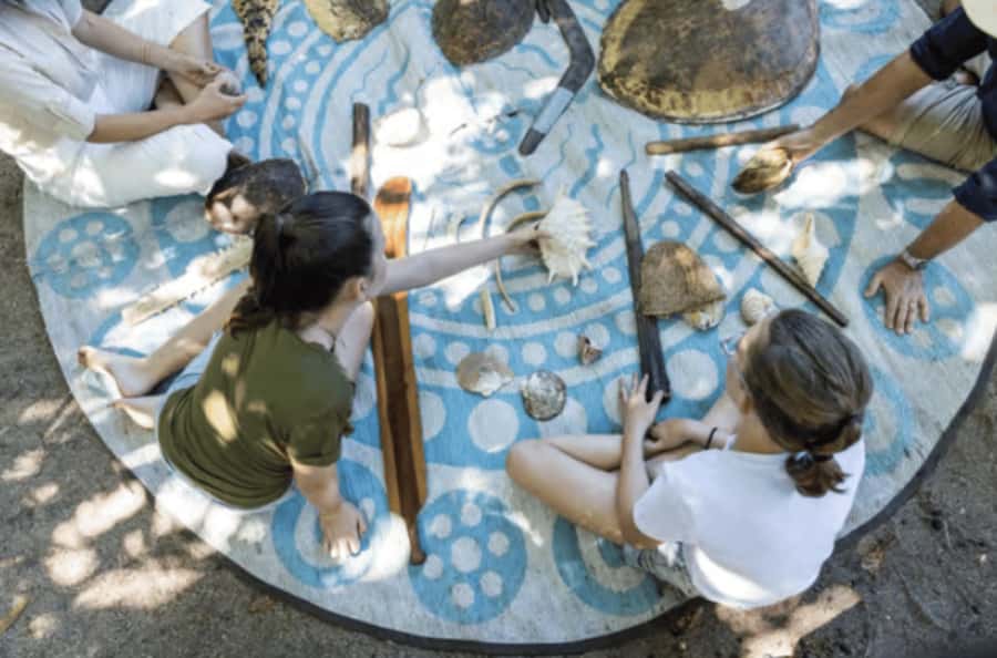 Cairns: Aboriginal Coastal Adventure & Mossman Gorge Tour - Bush medicines and foods: what you actually learn (and can use)