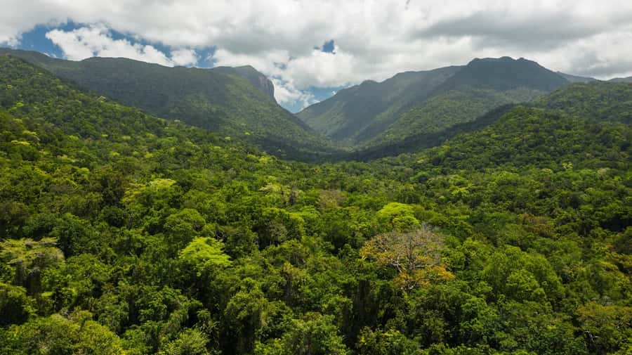 Cairns: Aboriginal Coastal Adventure & Mossman Gorge Tour - Price and what you get for about $282 per person