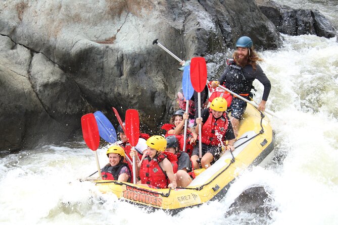 Cairns Adventure Package- 4 tours in 3 days! - Day 3 in the Daintree and Cape Tribulation: Welcome to Country in ancient rainforest
