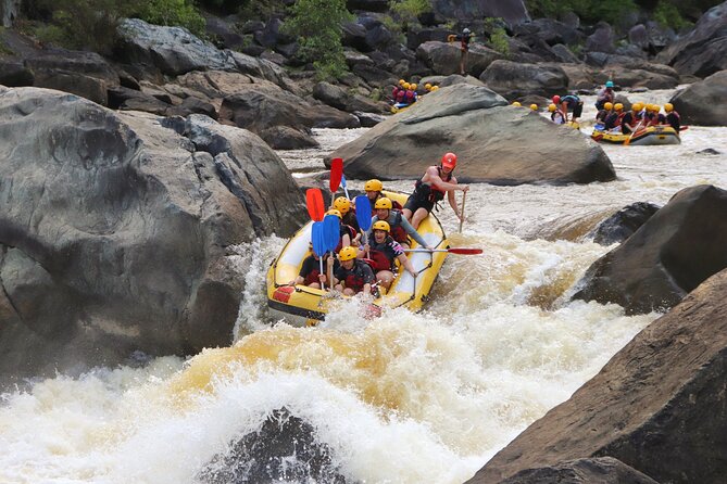 Cairns Adventure Package- 4 tours in 3 days! - Who this Cairns Adventure Package suits best (and who should think twice)