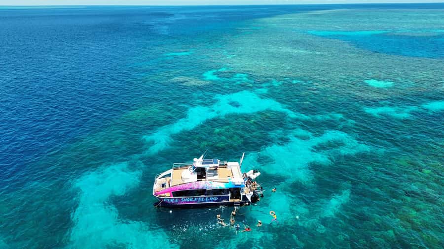 Cairns: All-Inclusive Great Barrier Reef Half-Day Snorkeling - Key highlights worth clocking before you go
