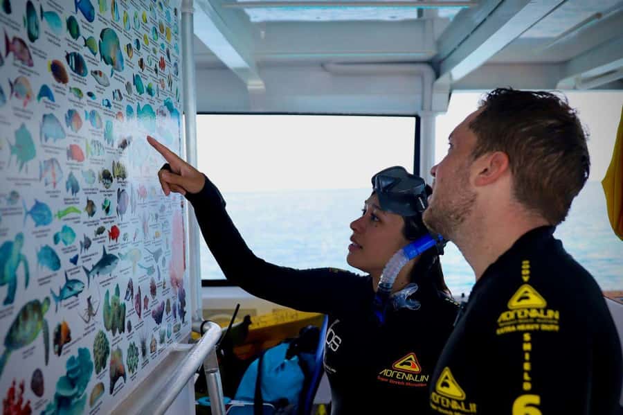 Cairns: All-Inclusive Great Barrier Reef Half-Day Snorkeling - Marine Biologist briefing at 10:30am: why it changes your snorkel