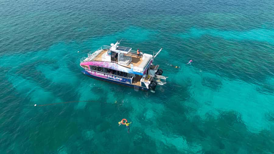 Cairns: All-Inclusive Great Barrier Reef Half-Day Snorkeling - Cairns Marlin Marina check-in and the 12:00pm departure plan
