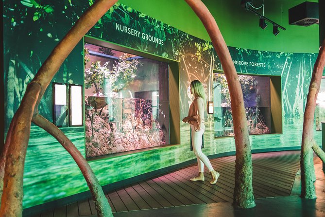 Cairns Aquarium Admission Ticket - Following the water: how the rainforest-to-reef route feels on-site