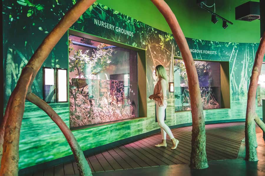 Cairns: Aquarium and Tomb of the Pharaohs Entry Ticket - Key highlights you should care about