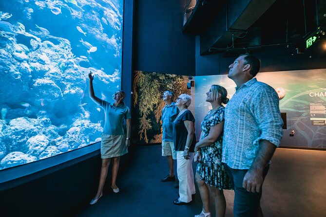 Cairns Aquarium by Twilight Tour - Twilight Timing: Why Night Changes Everything at Cairns Aquarium