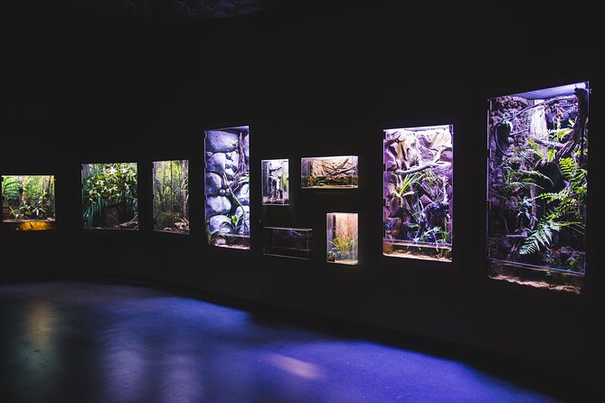 Cairns Aquarium by Twilight Tour - Inside the Aquarium After Closing: Seeing Reptiles, Amphibians, and Nocturnal Fish