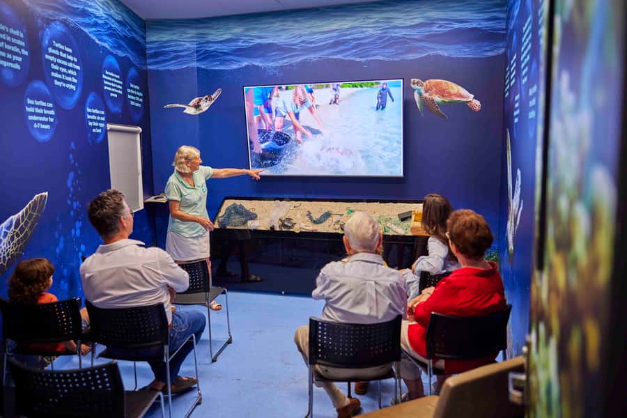 Cairns: Aquarium Entry Ticket and Turtle Rehabilitation Tour - Cairns Aquarium and Turtle Hospital: a smart 1-day pairing