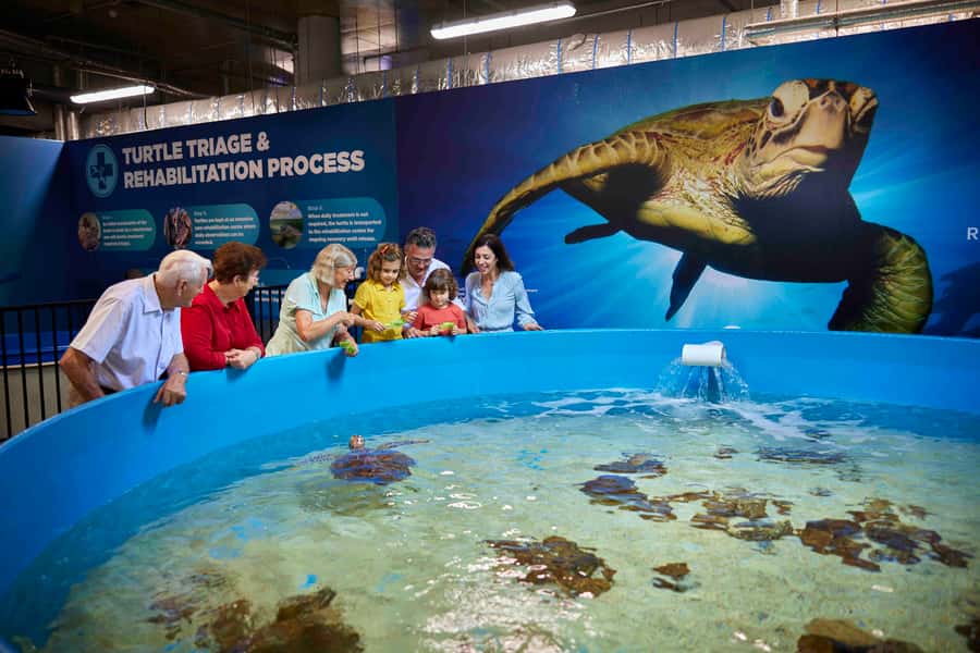 Cairns: Aquarium Entry Ticket and Turtle Rehabilitation Tour - The reef tank, oceanarium, and freshwater focus (yes, they matter)