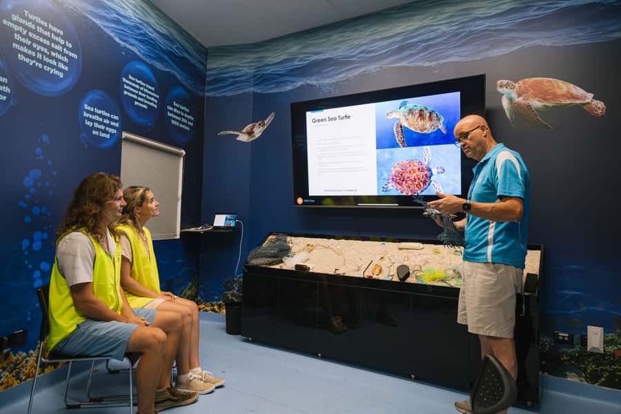 Cairns: Aquarium Entry Ticket and Turtle Rehabilitation Tour - Who should book this Cairns day, and who might reconsider