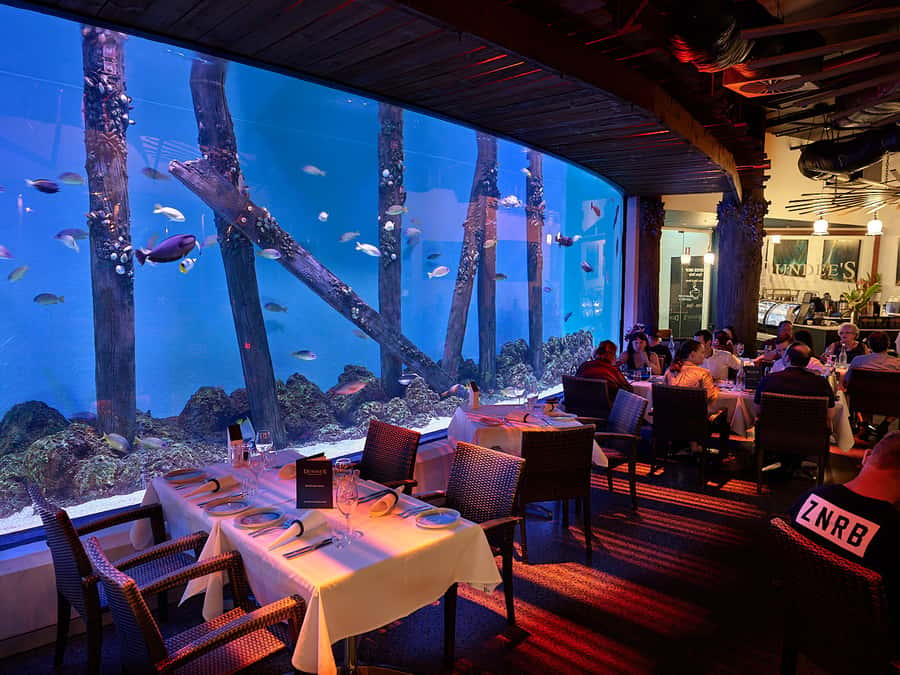 Cairns Aquarium General Admission Ticket - Ten ecosystems in one day: how to pace without feeling rushed