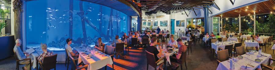 Cairns: Aquarium Guided Twilight Tour with 3-Course Dinner - Who Should Book This Cairns Aquarium Twilight Tour?