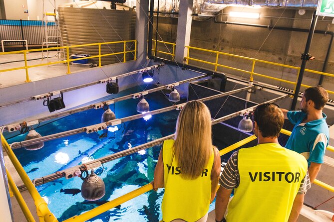 Cairns Aquarium Marine Life Encounter Ticket - Key Highlights You Should Care About