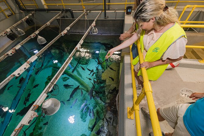 Cairns Aquarium Marine Life Encounter Ticket - Behind-the-Scenes Cairns Aquarium Work: quarantine, food prep, and filtering millions of litres