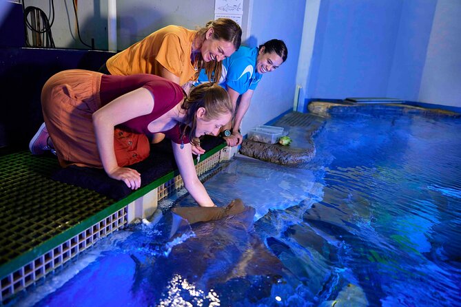 Cairns Aquarium Marine Life Encounter Ticket - Reptile Breeding Facility: a second animal world, same care mindset