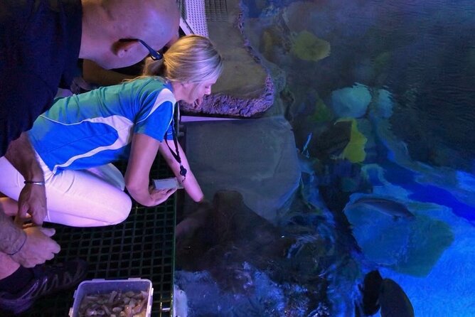Cairns Aquarium Marine Life Encounter Ticket - The Cownose Ray Hand-Feeding Platform: the moment everyone remembers