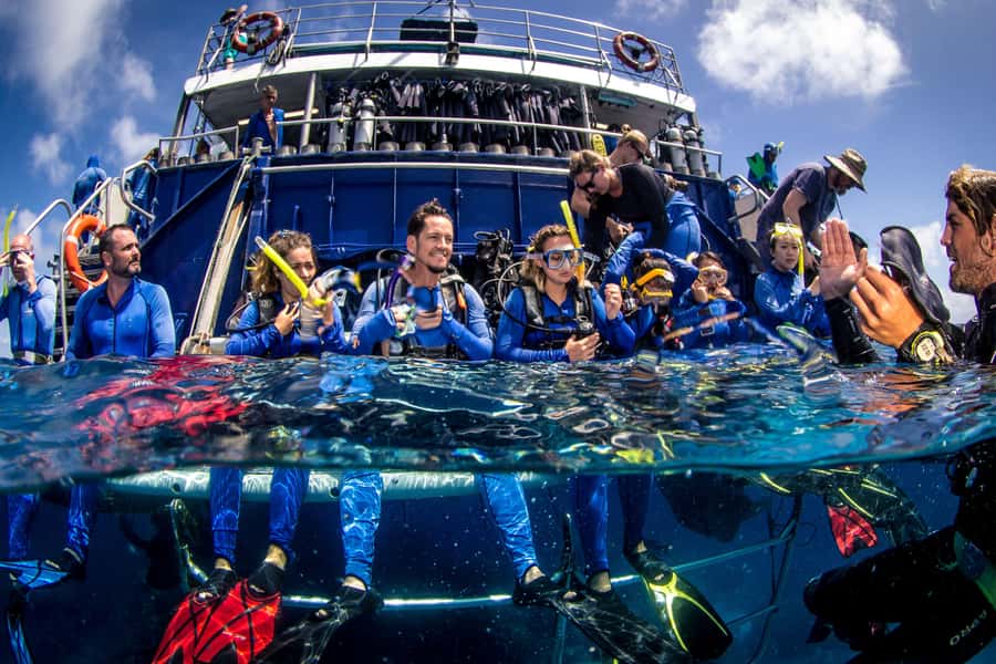 Cairns: Best Value All-inclusive Reef Trip With Scuba Dive - Cairns pickup to Marlin Marina: your morning starts fast