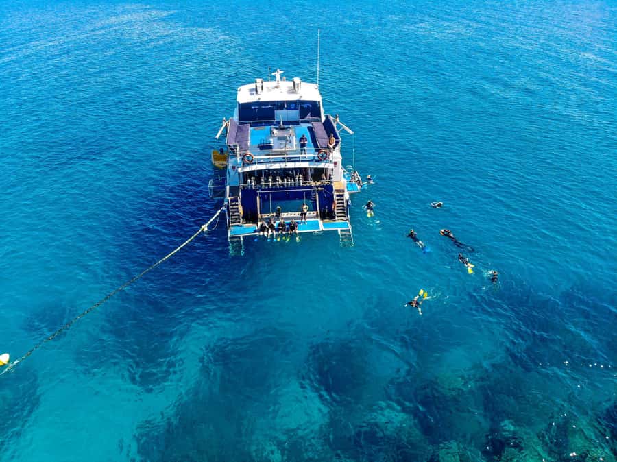 Cairns: Best Value All-inclusive Reef Trip With Scuba Dive - Price and value: why $184 feels fair here