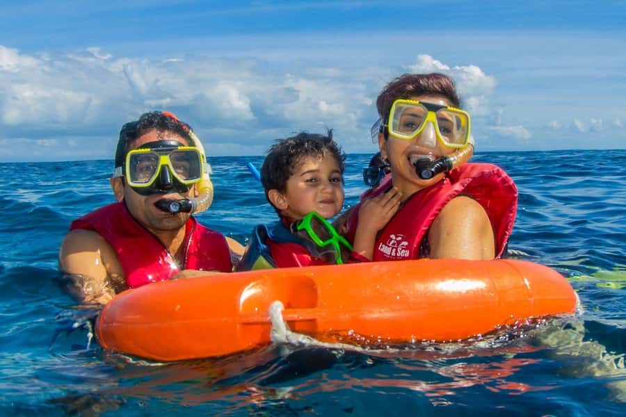 Cairns: Best Value All-inclusive Reef Trip With Scuba Dive - Practical tips that make the day smoother