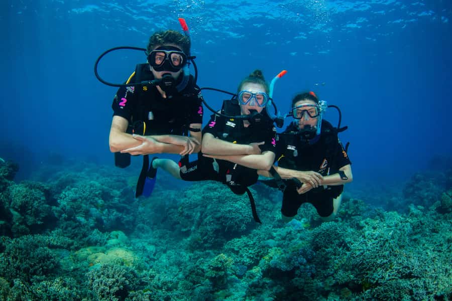 Cairns: Best Value All-inclusive Reef Trip With Scuba Dive - Who this reef trip is best for