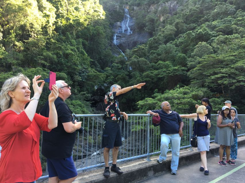 Cairns: Cairns City Sights & Surrounds Half Day Tour - Palm Cove beach time: Jetty stroll and a slow finish