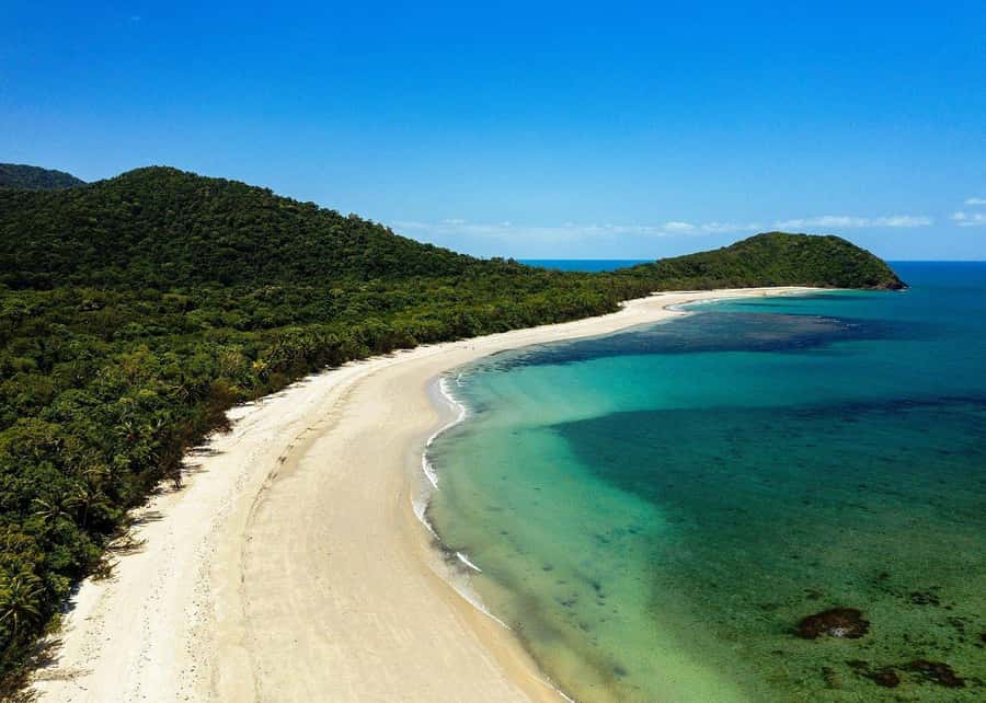 Cairns: Cape Tribulation, Beaches, Crocs & Swimming Day Tour - From Cairns pickup to Cape Tribulation: the day’s travel rhythm