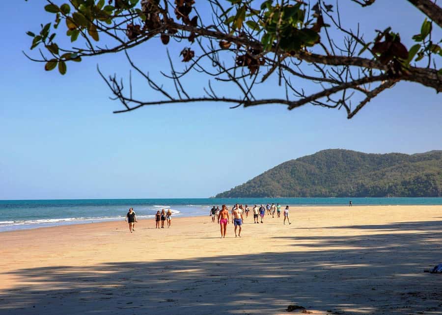 Cairns: Cape Tribulation, Beaches, Crocs & Swimming Day Tour - Lunch and guided stops: where the schedule creates breathing room