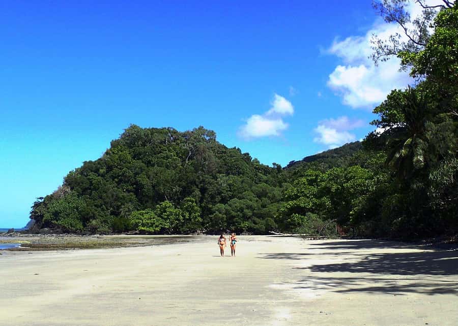 Cairns: Cape Tribulation, Beaches, Crocs & Swimming Day Tour - Daintree River crocodile cruise: what you should actually watch for