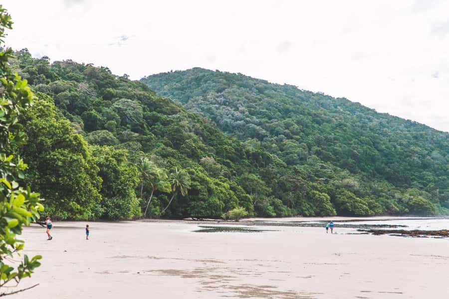 Cairns: Cape Tribulation & Daintree Rainforest Premium Tour - Key things that make this tour worth your time