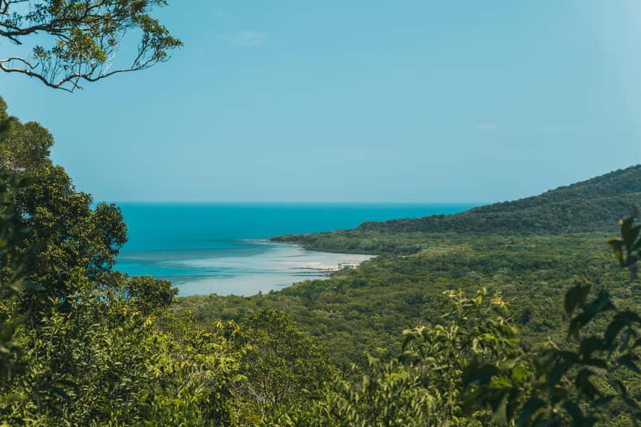 Cairns: Cape Tribulation & Daintree Rainforest Premium Tour - The Daintree circuit: what you’re really buying