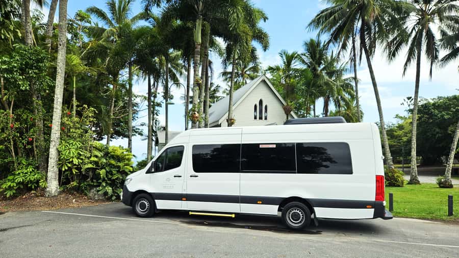 Cairns: Cape Tribulation & Daintree Rainforest Premium Tour - Price and value: is $192 a good deal?