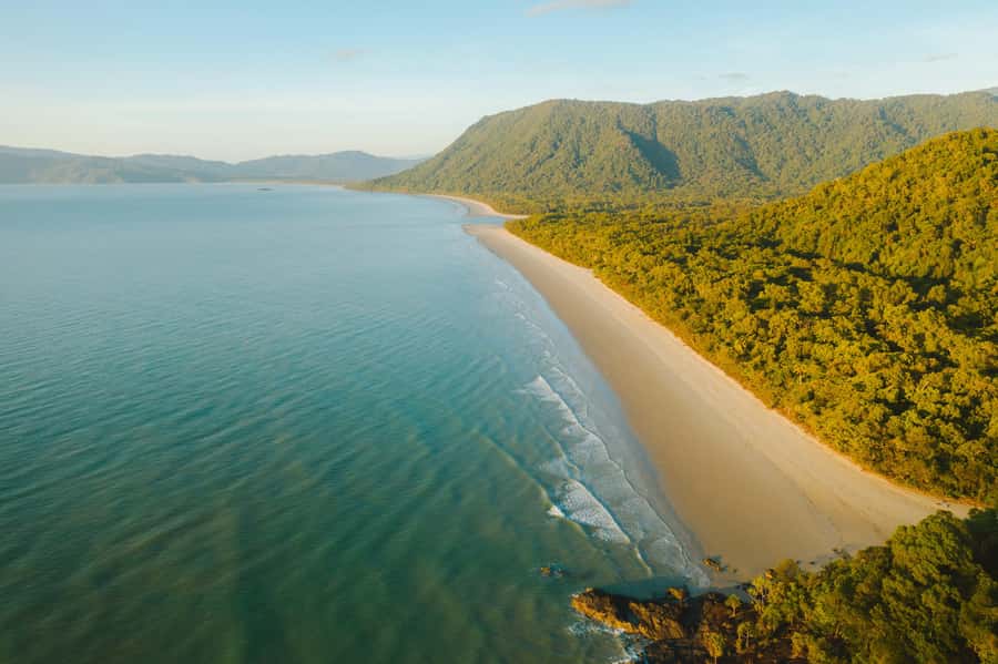 Cairns: Cape Tribulation, Mossman Gorge & Daintree Day Tour - Key highlights worth planning for